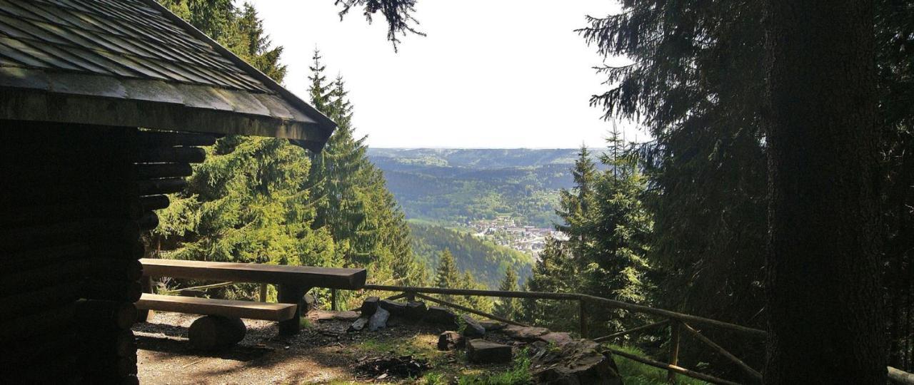 Ferienwohnung Klaus Im Tal Der Steinach 스타이나크 외부 사진